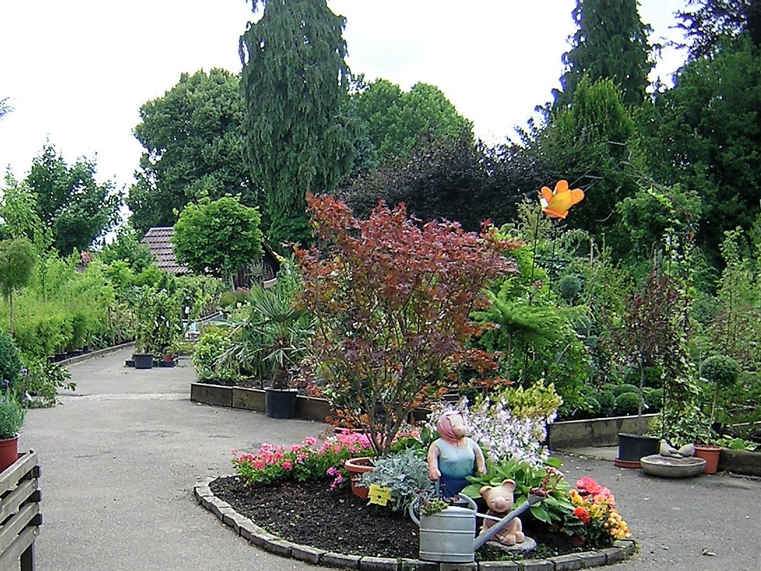 Vogg_Sommer_2008 3.jpg